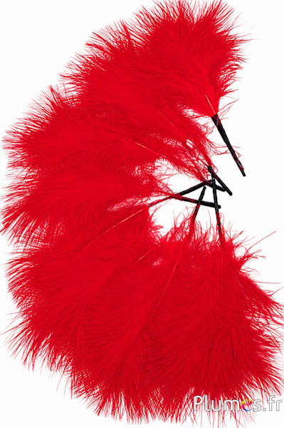 Plume 3 veren - hoogte 20 cm - rood